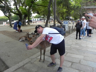 DSCN2175.JPG