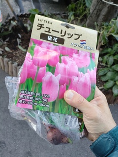IMG20221219154359.jpg