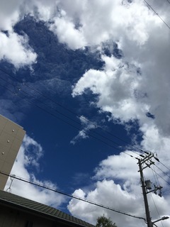 IMG_7151.JPG