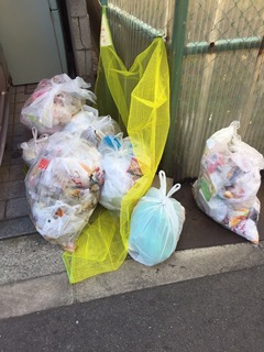 image1.jpeg